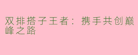 双排搭子王者：携手共创巅峰之路