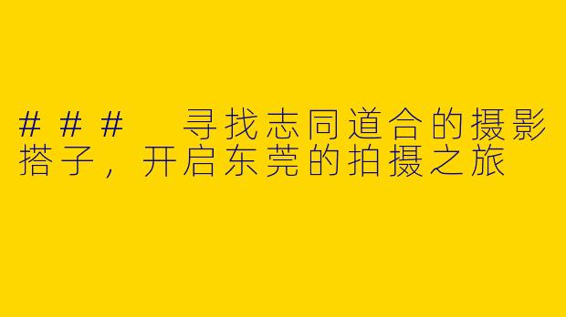 ### 寻找志同道合的摄影搭子，开启东莞的拍摄之旅