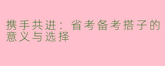 携手共进：省考备考搭子的意义与选择