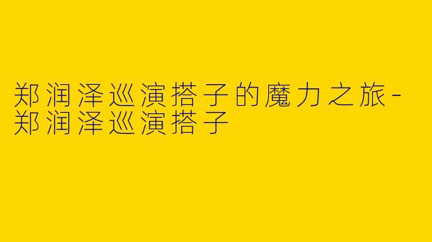 郑润泽巡演搭子的魔力之旅-郑润泽巡演搭子