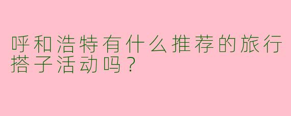 呼和浩特有什么推荐的旅行搭子活动吗?