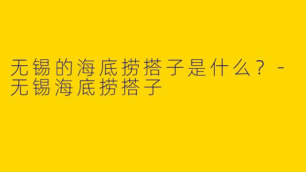 无锡的海底捞搭子是什么?