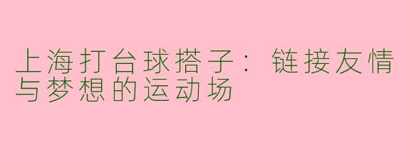 上海打台球搭子：链接友情与梦想的运动场