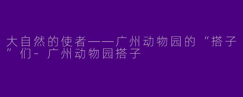 大自然的使者——广州动物园的“搭子”们-广州动物园搭子