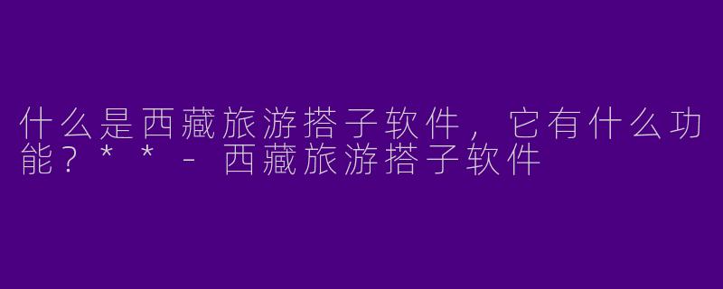 什么是西藏旅游搭子软件,它有什么功能?**