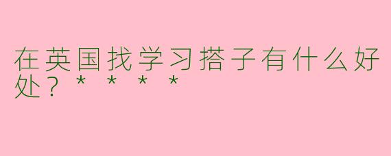 在英国找学习搭子有什么好处?****