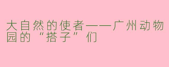 大自然的使者——广州动物园的“搭子”们