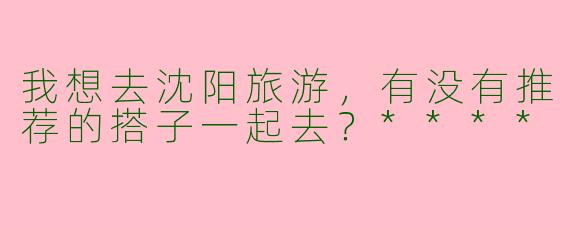 我想去沈阳旅游，有没有推荐的搭子一起去？****