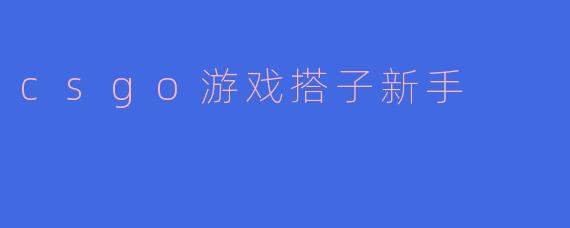 csgo游戏搭子新手