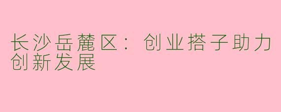 长沙岳麓区：创业搭子助力创新发展