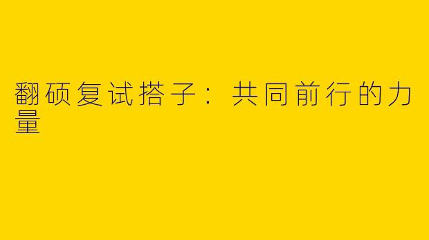 翻硕复试搭子：共同前行的力量