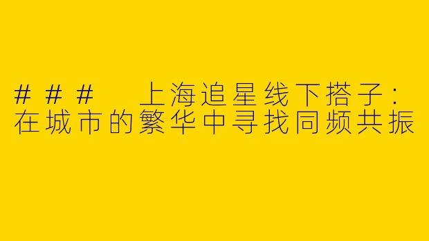 ### 上海追星线下搭子：在城市的繁华中寻找同频共振