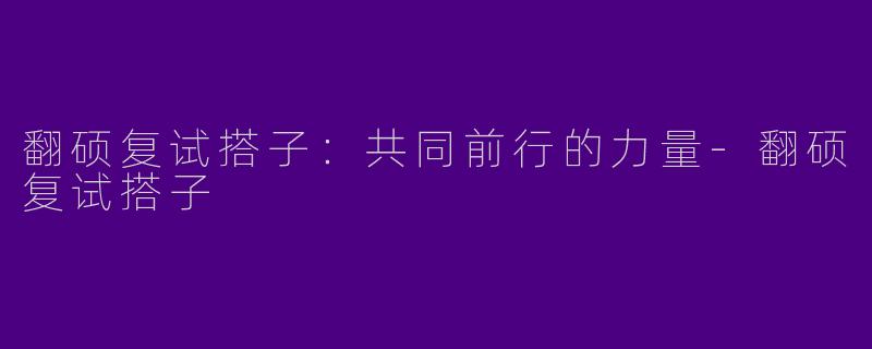 翻硕复试搭子：共同前行的力量-翻硕复试搭子