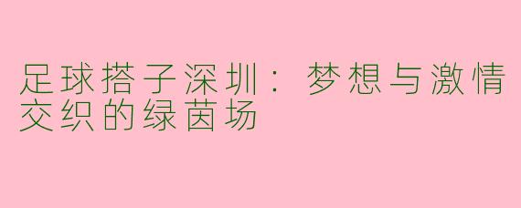 足球搭子深圳：梦想与激情交织的绿茵场