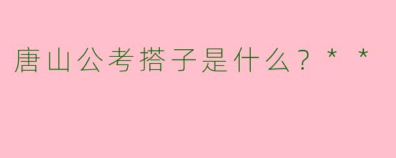 唐山公考搭子是什么？**