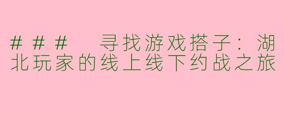 ### 寻找游戏搭子：湖北玩家的线上线下约战之旅