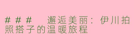 ### 邂逅美丽:伊川拍照搭子的温暖旅程