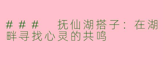 ### 抚仙湖搭子：在湖畔寻找心灵的共鸣
