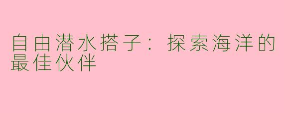 自由潜水搭子：探索海洋的最佳伙伴