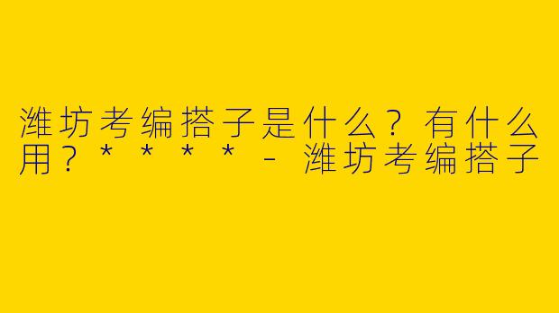 潍坊考编搭子是什么？有什么用？****