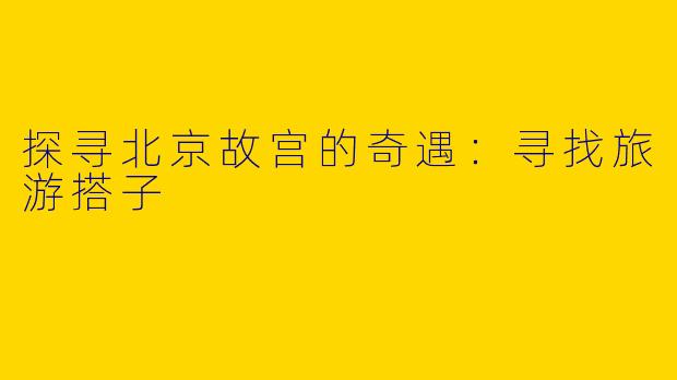 探寻北京故宫的奇遇：寻找旅游搭子