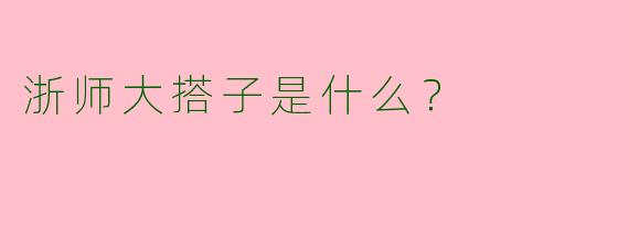 浙师大搭子是什么?