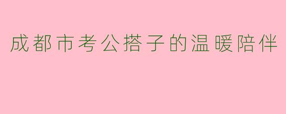 成都市考公搭子的温暖陪伴