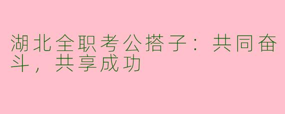 湖北全职考公搭子：共同奋斗，共享成功