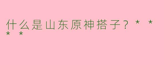 什么是山东原神搭子?****