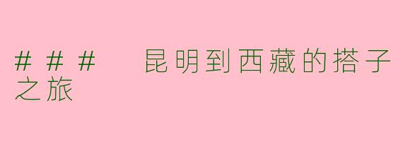 ### 昆明到西藏的搭子之旅