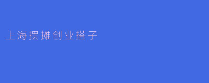 上海摆摊创业搭子