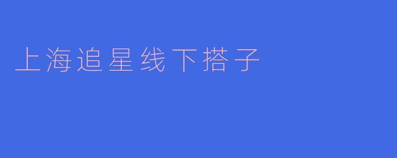 上海追星线下搭子