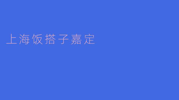 探索美味之旅：上海饭搭子嘉定的美食魅力