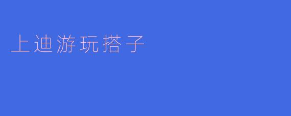 上迪游玩搭子有什么好处?****