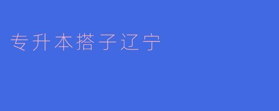 专升本搭子辽宁有哪些学习资源和建议？****