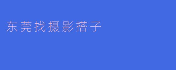 ### 寻找志同道合的摄影搭子，开启东莞的拍摄之旅