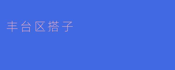 丰台区搭子