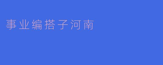 事业编搭子河南