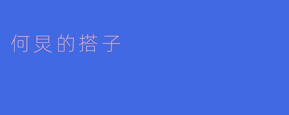 何炅的搭子