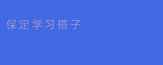 保定学习搭子