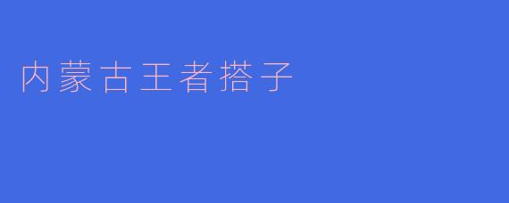 内蒙古王者搭子具体是指什么?