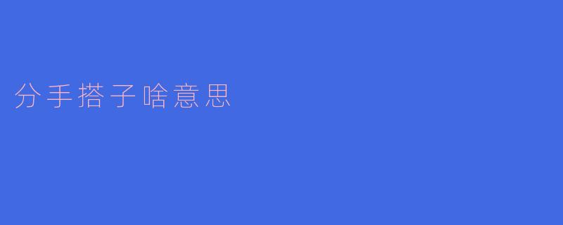 分手搭子啥意思