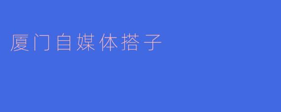 厦门自媒体搭子是怎么帮助新手自媒体人发展的?