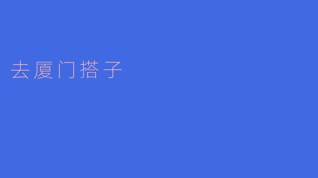 去厦门搭子
