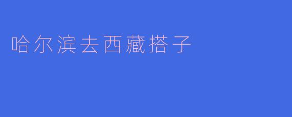 哈尔滨去西藏搭子