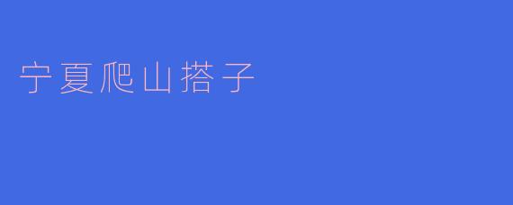### 探索“宁夏爬山搭子”:山野之间的友情与冒险