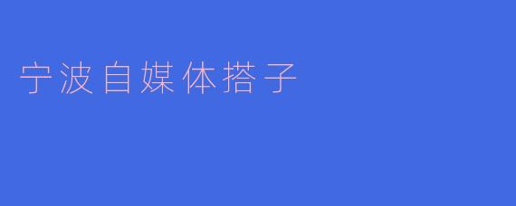 宁波自媒体搭子：共创内容新生态
