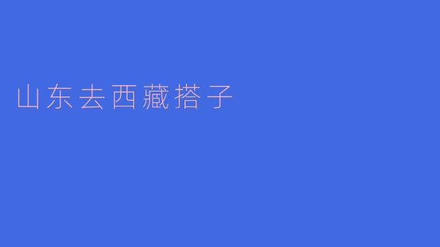 山东去西藏搭子