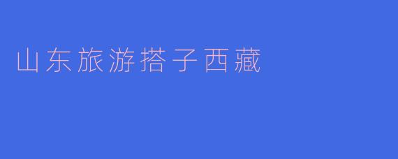 山东旅游搭子西藏
