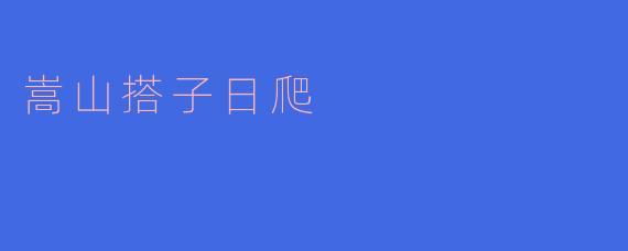 ### 嵩山搭子日爬:与自然亲密接触的绝佳体验